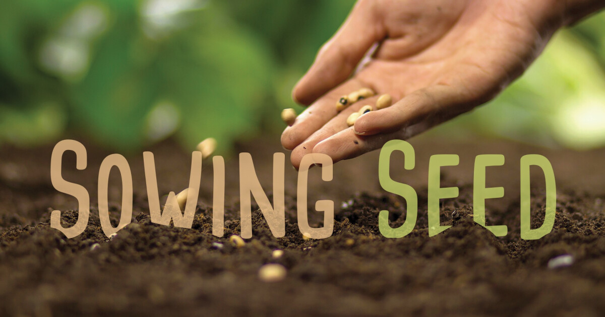 sowingseed-photo